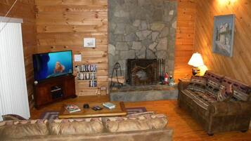 Télévision, cheminée, lecteur de DVD, médiathÚque