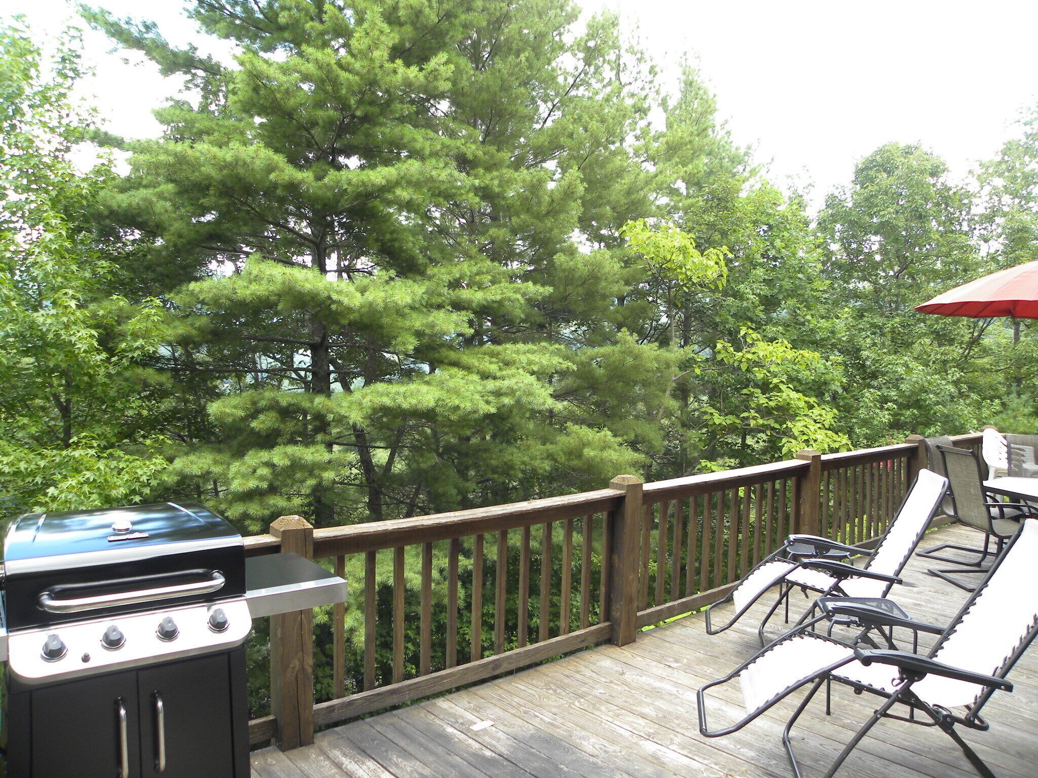 Une terrasse en bois équipée d’un barbecue, de mobilier d’extérieur et offrant une vue sur une forêt dense.