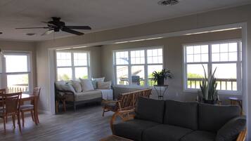 TV, fireplace, books