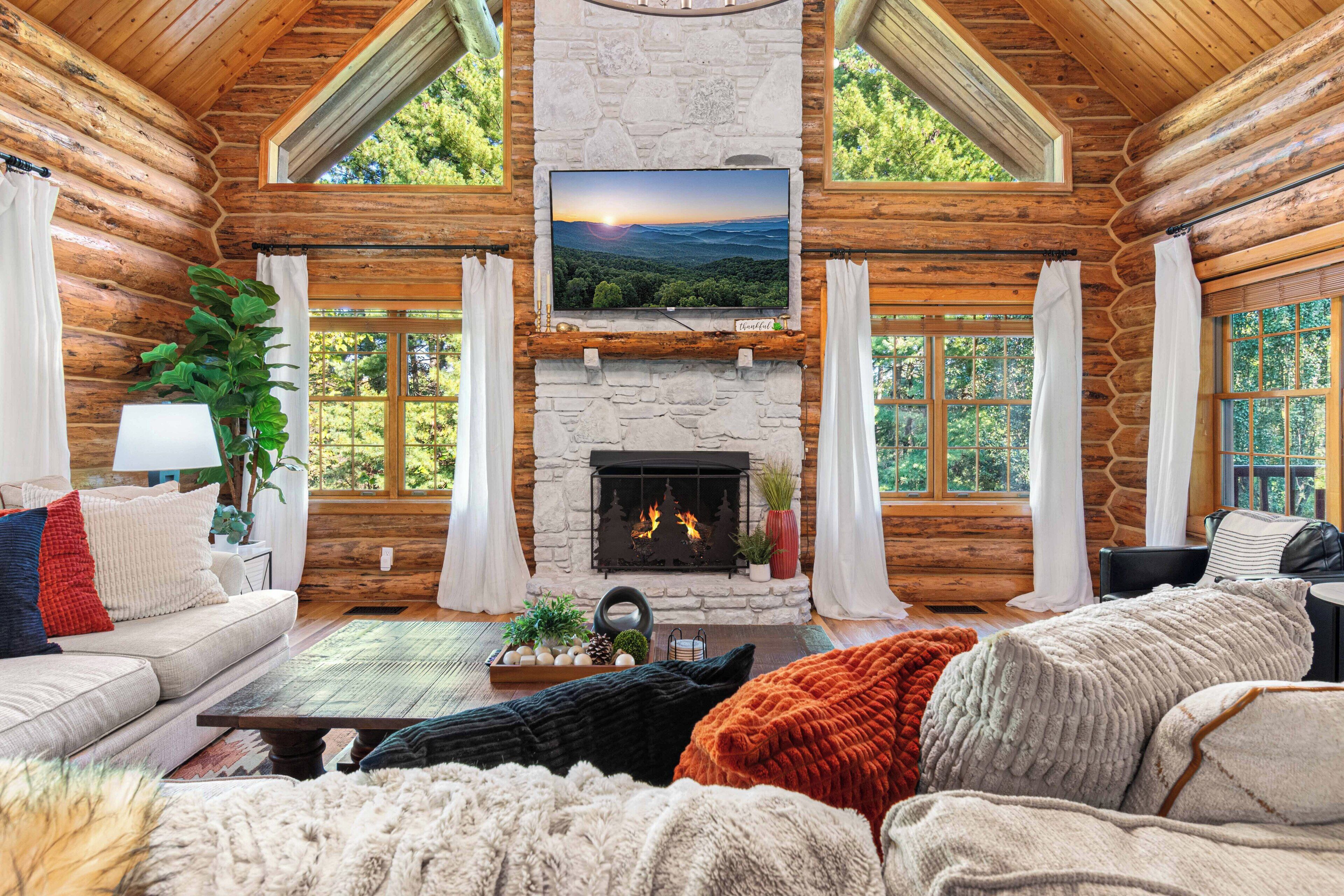 スマートテレビ、暖炉、DVD プレーヤー、書庫