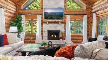 Smart-tv, een open haard, een dvd-speler en boeken