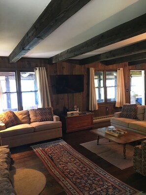 TV connectée, cheminée, lecteur de DVD, livres