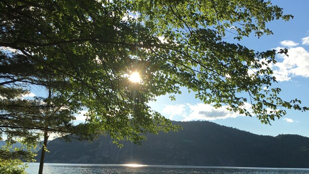 A grassy area with two wooden benches facing a lake, surrounded by trees and a mountain in the background. - Charming Lakefront Cottage - Northern Lake George (Ticonderoga)