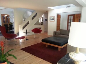 Televisio, takka, DVD-soitin, kirjoja