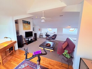 Televisión, chimenea, reproductor de DVD y libros 