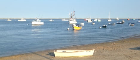 Una spiaggia nelle vicinanze, lettini da mare