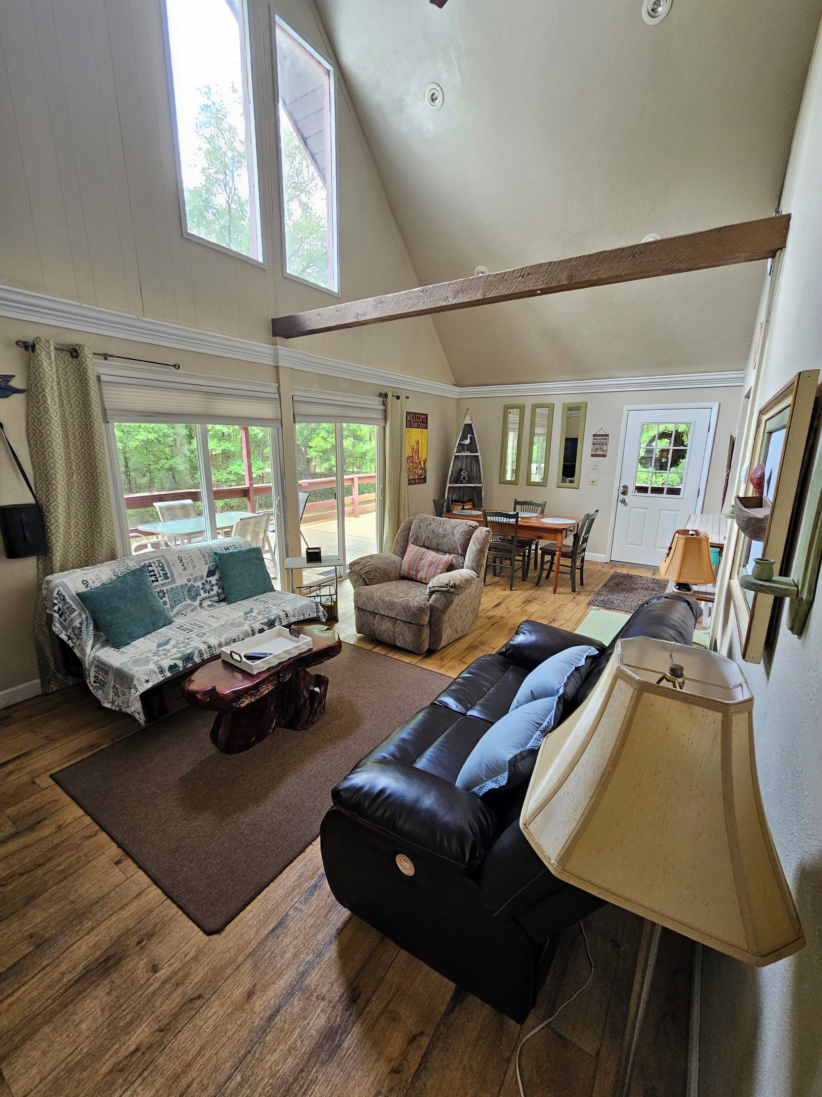 TV connectée, cheminée, lecteur de DVD, livres