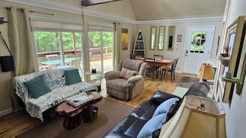 TV connectée, cheminée, lecteur de DVD, livres