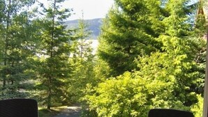 Eine überdachte Terrasse mit Tisch und Stühlen, mit Blick auf eine bewaldete Landschaft und ferne Hügel.