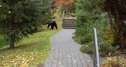 * Private Hot Tub * Pool * Updated * Lodge Decor