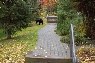* Private Hot Tub * Pool * Updated * Walk to Everything