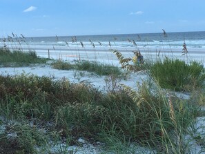 A beach with sand, grass, and the ocean.