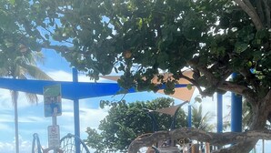 Un parque infantil con tobogán y estructuras para escalar, rodeado de follaje y un toldo azul.