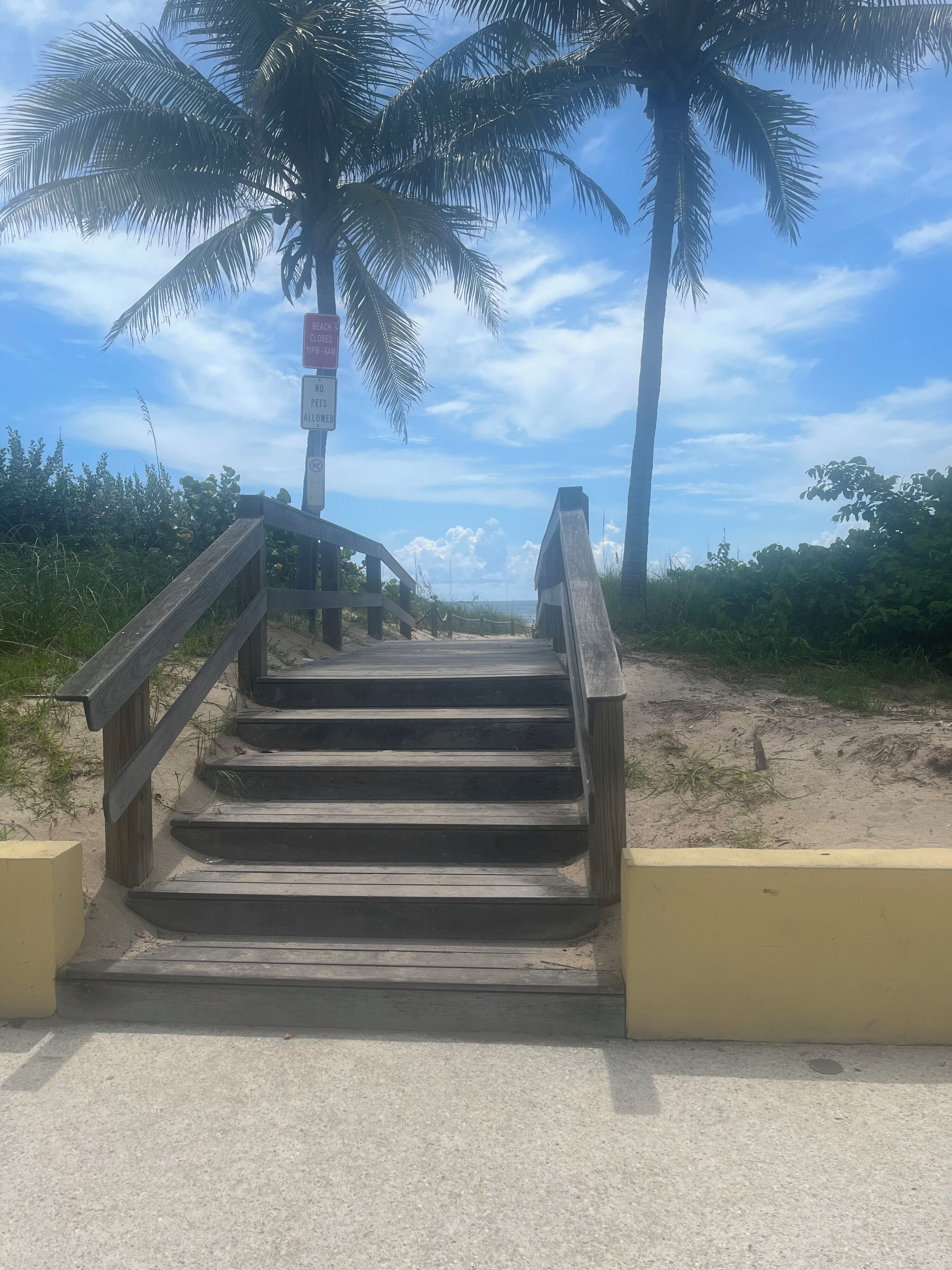 Eine Holztreppe führt zu einem Strandabschnitt mit Palmen und blauem Himmel.