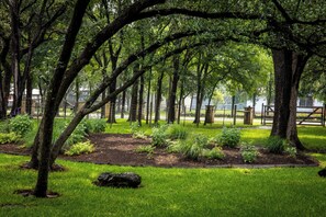 Property grounds - Rahe Guest Haus 30 minutes from Austin (New Braunfels)