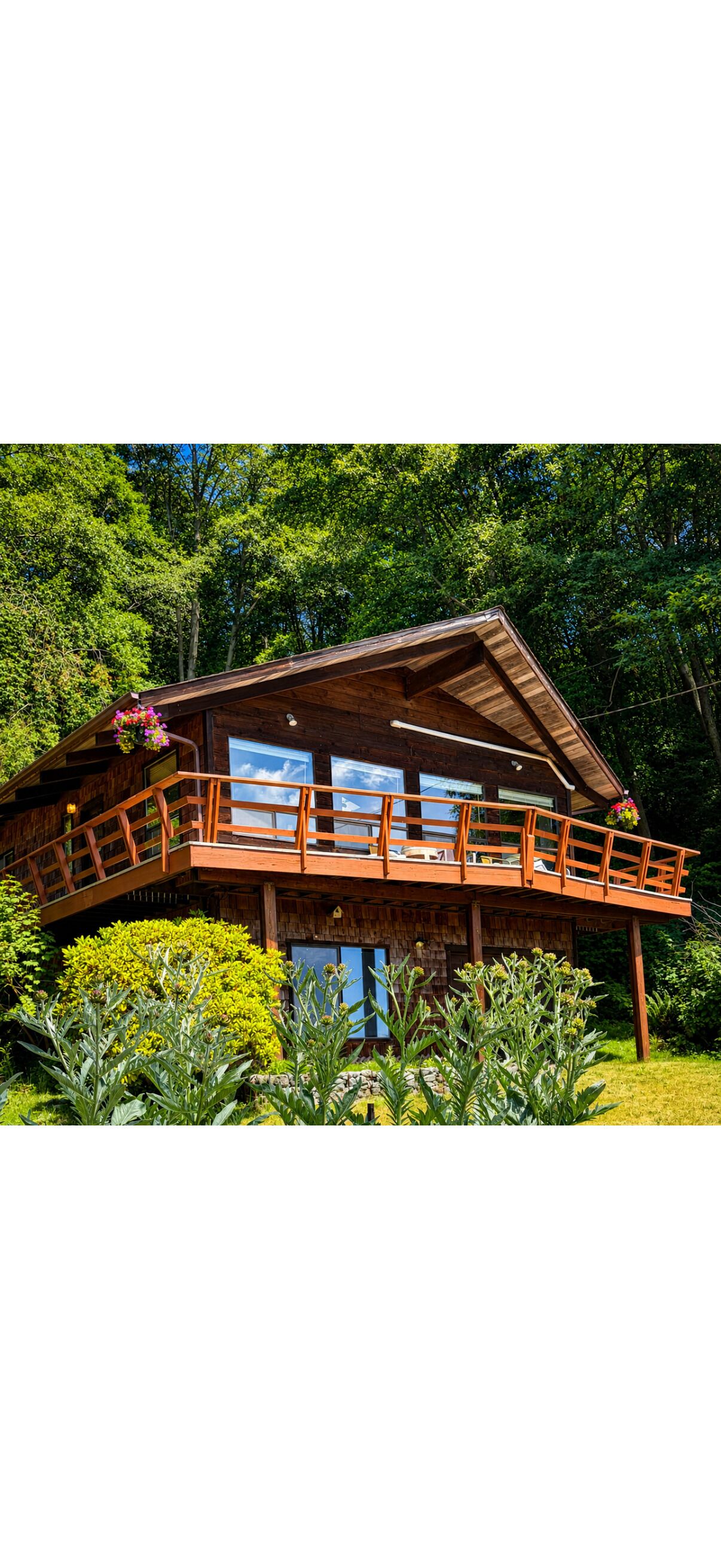 Really cool spot to sit and look at the ocean, mountains and wildlife!