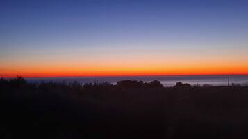 Un coucher de soleil sur un paysage côtier, avec des silhouettes de végétation et un horizon dégagé.