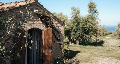 Mondomini - Charmant chalet avec vue sur la mer