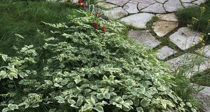 Cozy Lakeside Cabin w/ Boat and Firepit