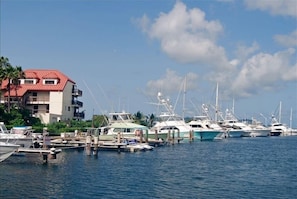 Marina