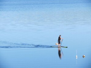 Miscellaneous - "Second Wind" :039-O  An Orleans Estate with large heated pool, spa, on Town Cove; sleeps 24 (Orleans)