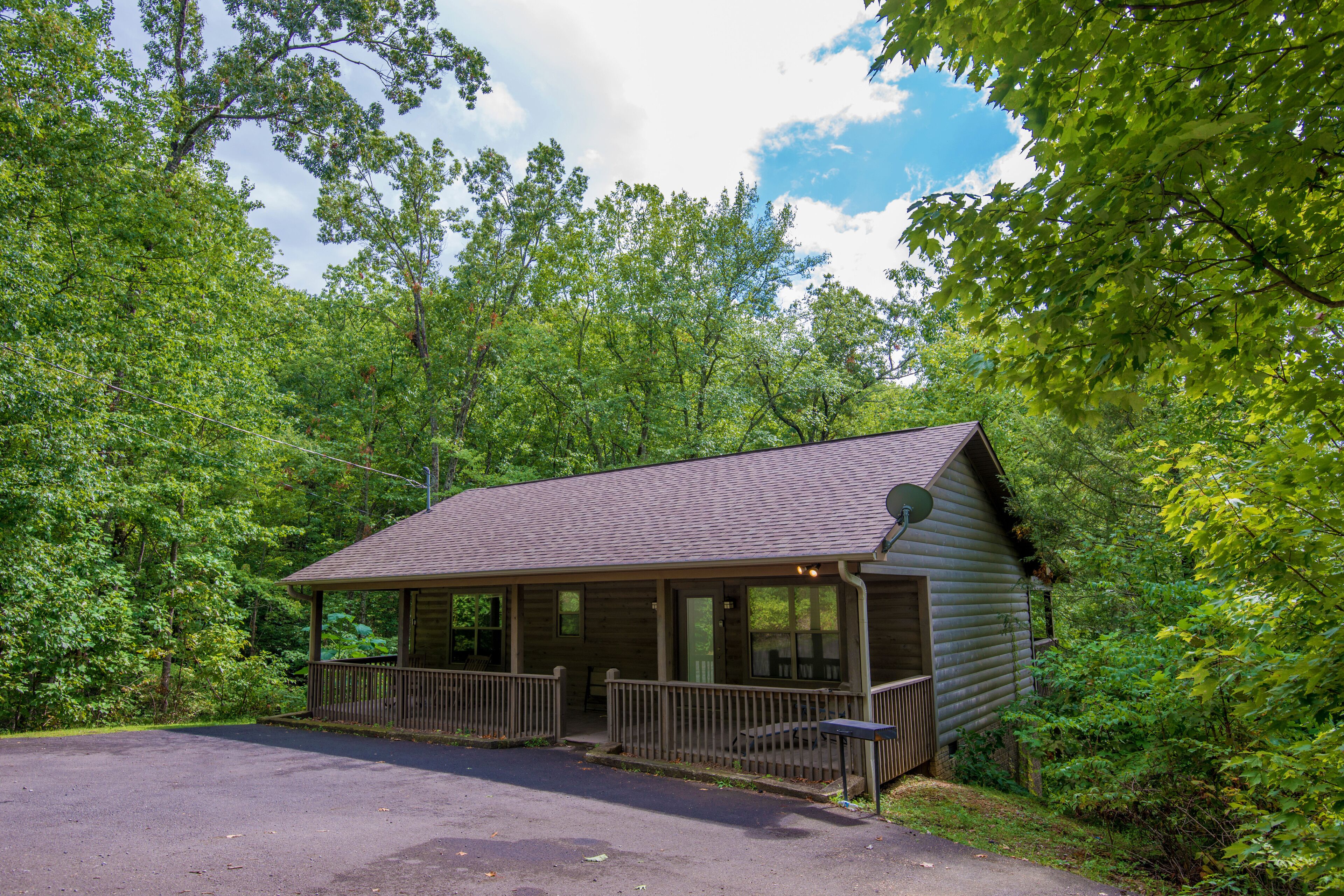 Honeymoon/Anniversary Pigeon Forge Secluded Cabin-Mountain View-Dog Friendly