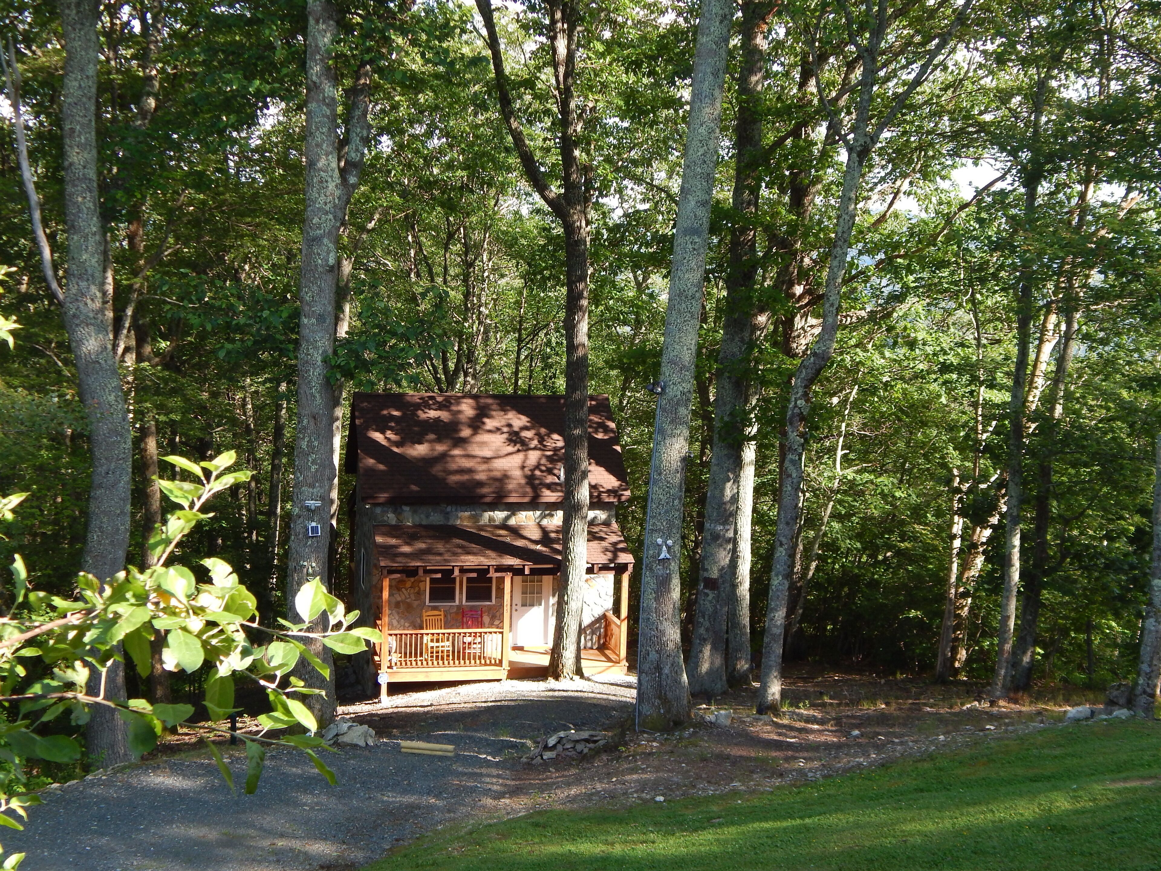 Welcome to South Beech