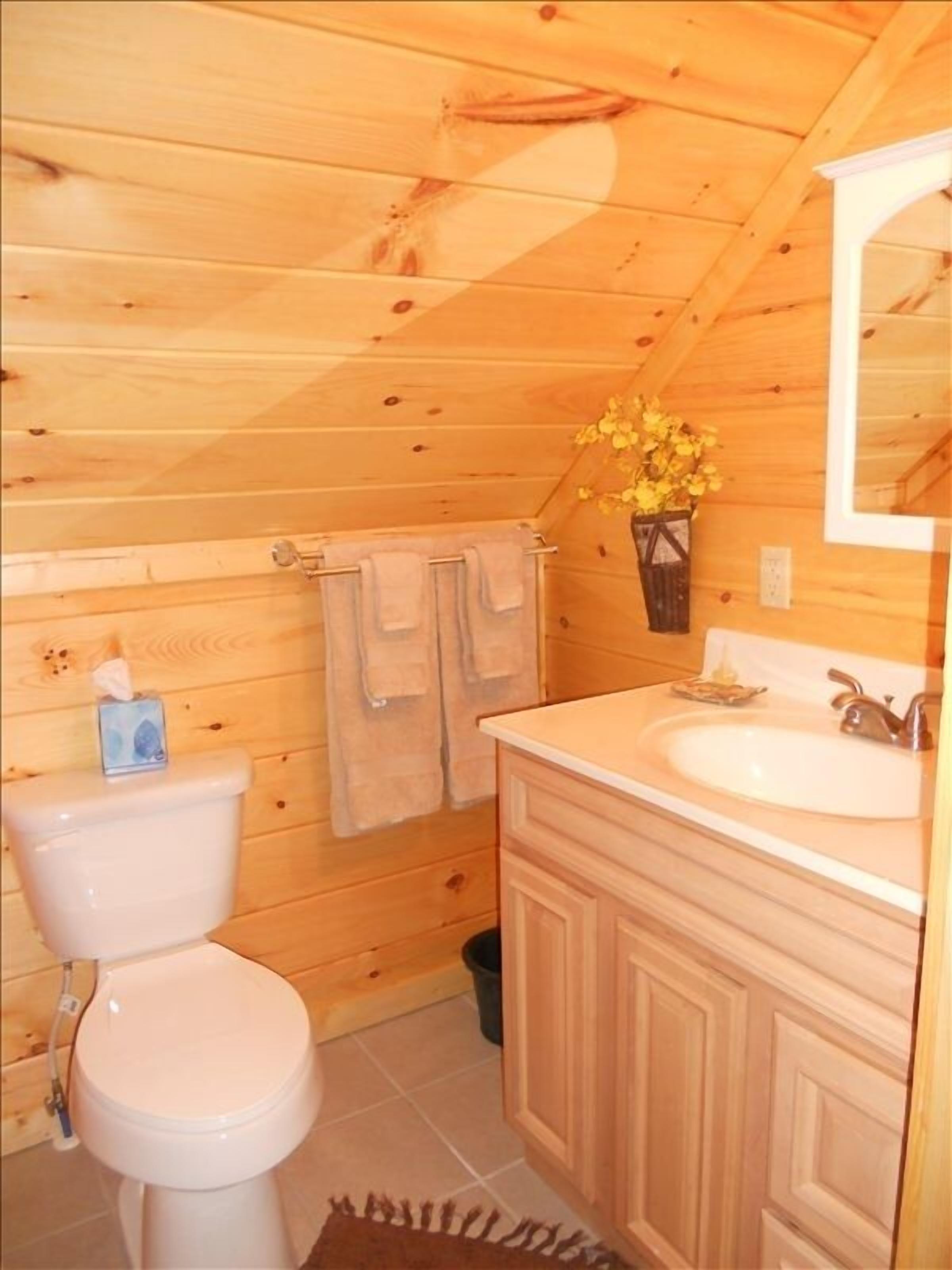 Welcome to South Beech