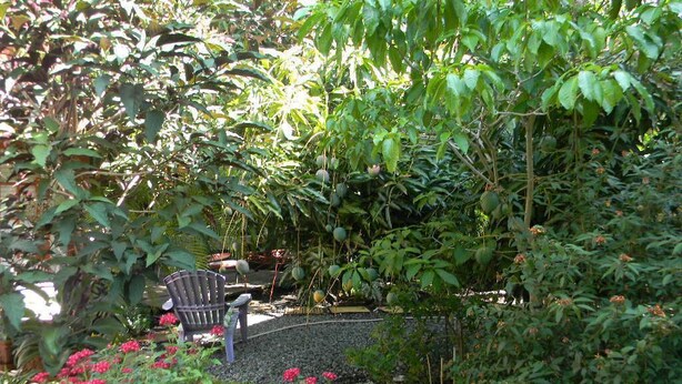 A garden with a chair and a pond. - Beautiful Cozy Bedroom In Great B&B  Historic Home ~ Close To The City Center  (Miami)