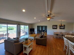TV, video games, DVD player, video library