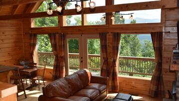 Een televisie, een open haard, een dvd-speler en een filmbibliotheek