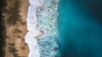 Playa en los alrededores, camastros y toallas de playa