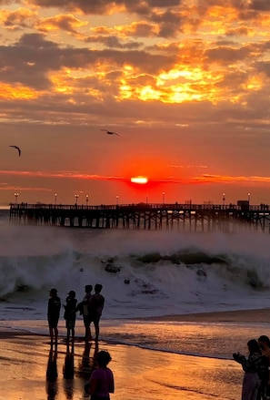 On the beach, sun-loungers, beach towels