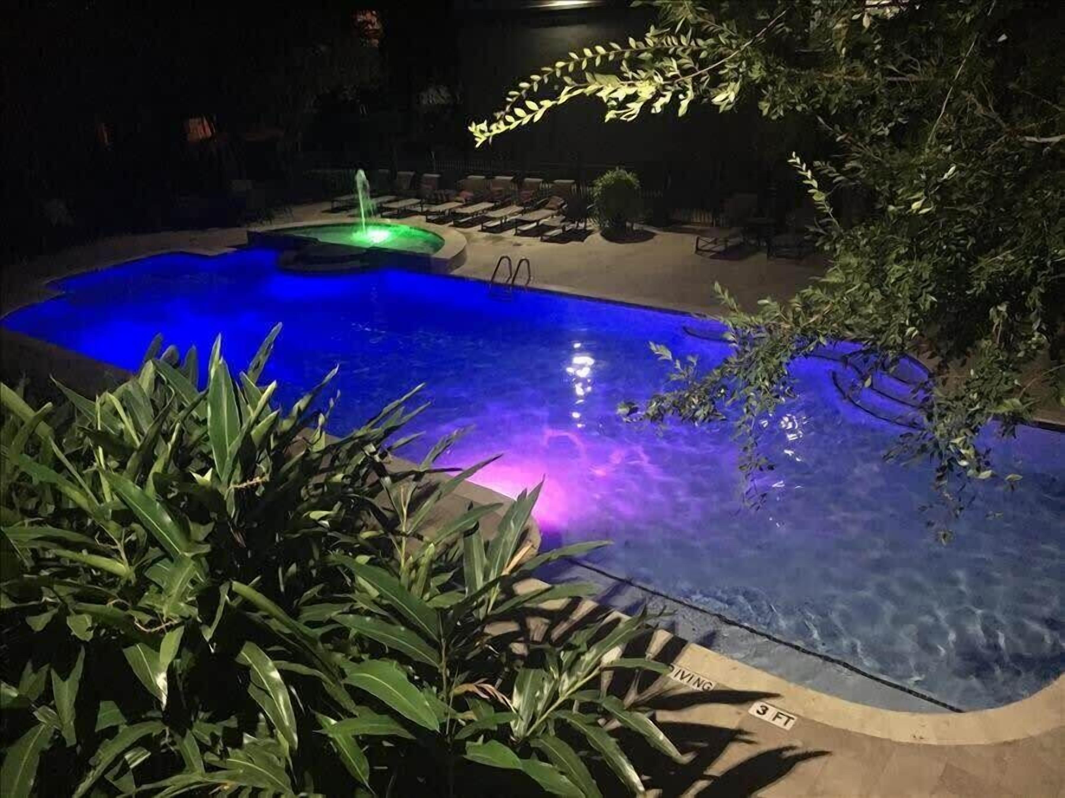 Pool View 2 Bedroom/2 Bath Condo in Houston's Medical Center**