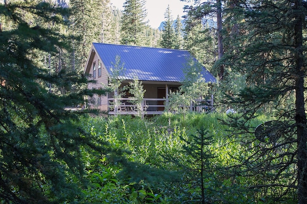 The Ursa cabin is located in a meadow flanked by pines and aspens.