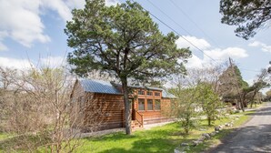 A rustic log cabin with a metal roof, surrounded by a grassy area and trees.