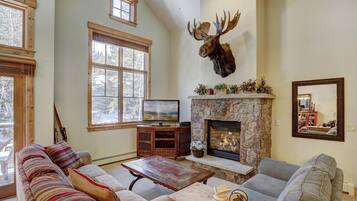 Smart TV, fireplace, DVD player, books