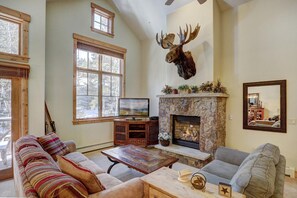 Smart TV, fireplace, DVD player, books