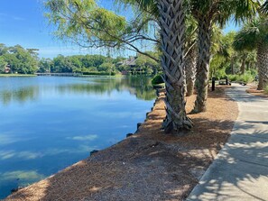 Uklassifisert bilde, 4 av 52, knapp