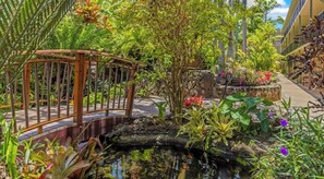 A garden with a wooden bridge, a pond, and various tropical plants. - Prince Kuhio #205, Ocean View, sunny south shore Poipu area (Koloa)