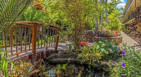 Terrein van de accommodatie