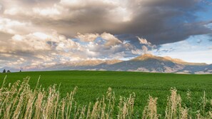 Property grounds - Paradise Valley with Yellowstone River Fishing Access (Livingston)