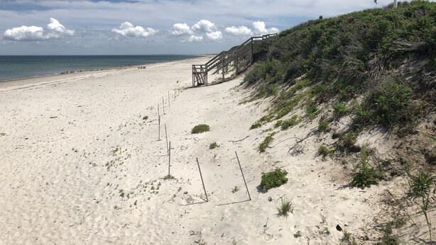 Een strand met een houten trap die naar een grasveld leidt, een Amerikaanse vlag en een heldere lucht.