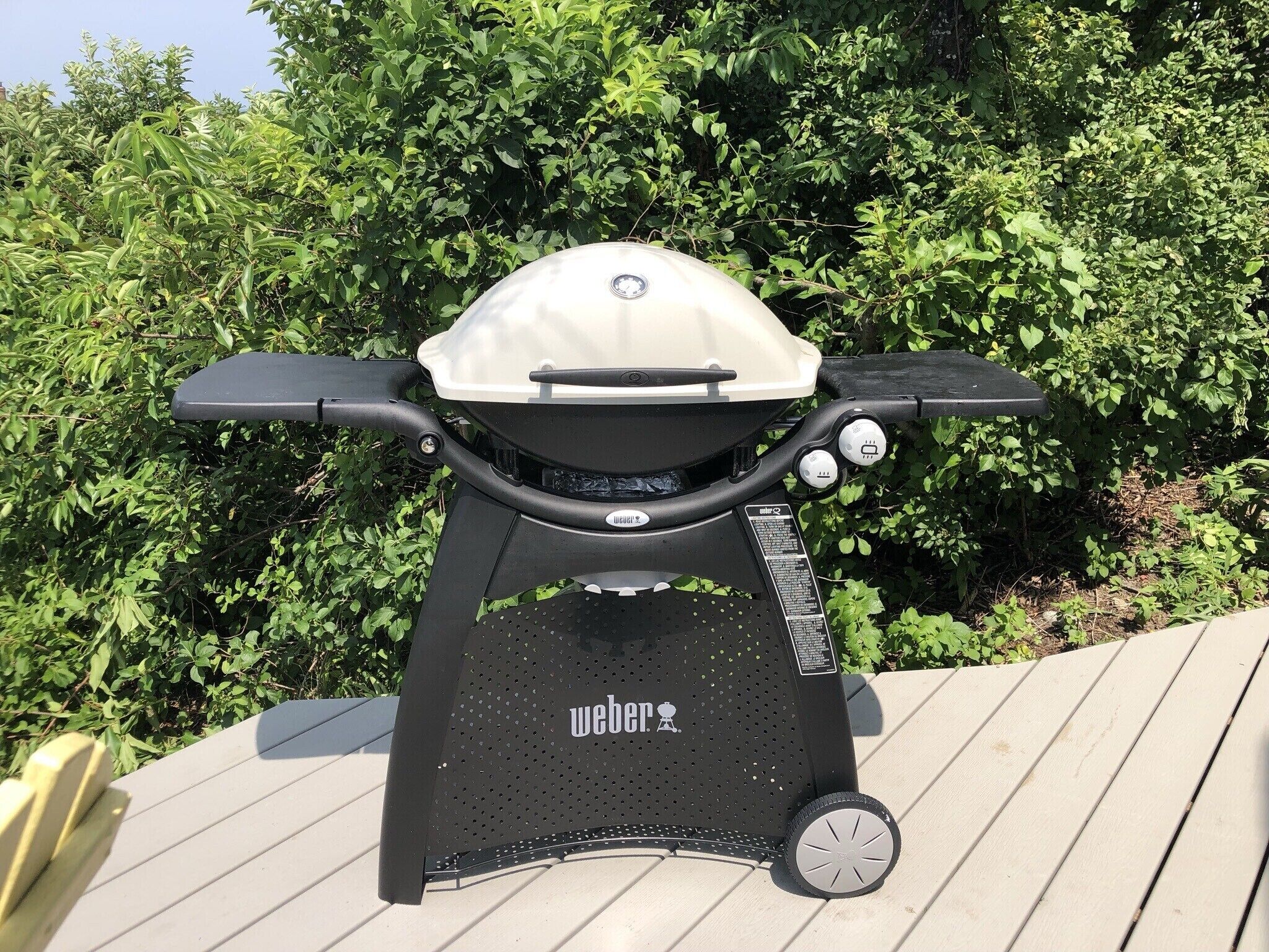 webber gas grill