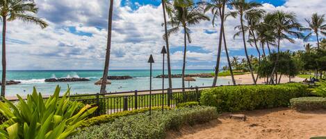 A beach view with palm trees, a sandy area, and a pool.