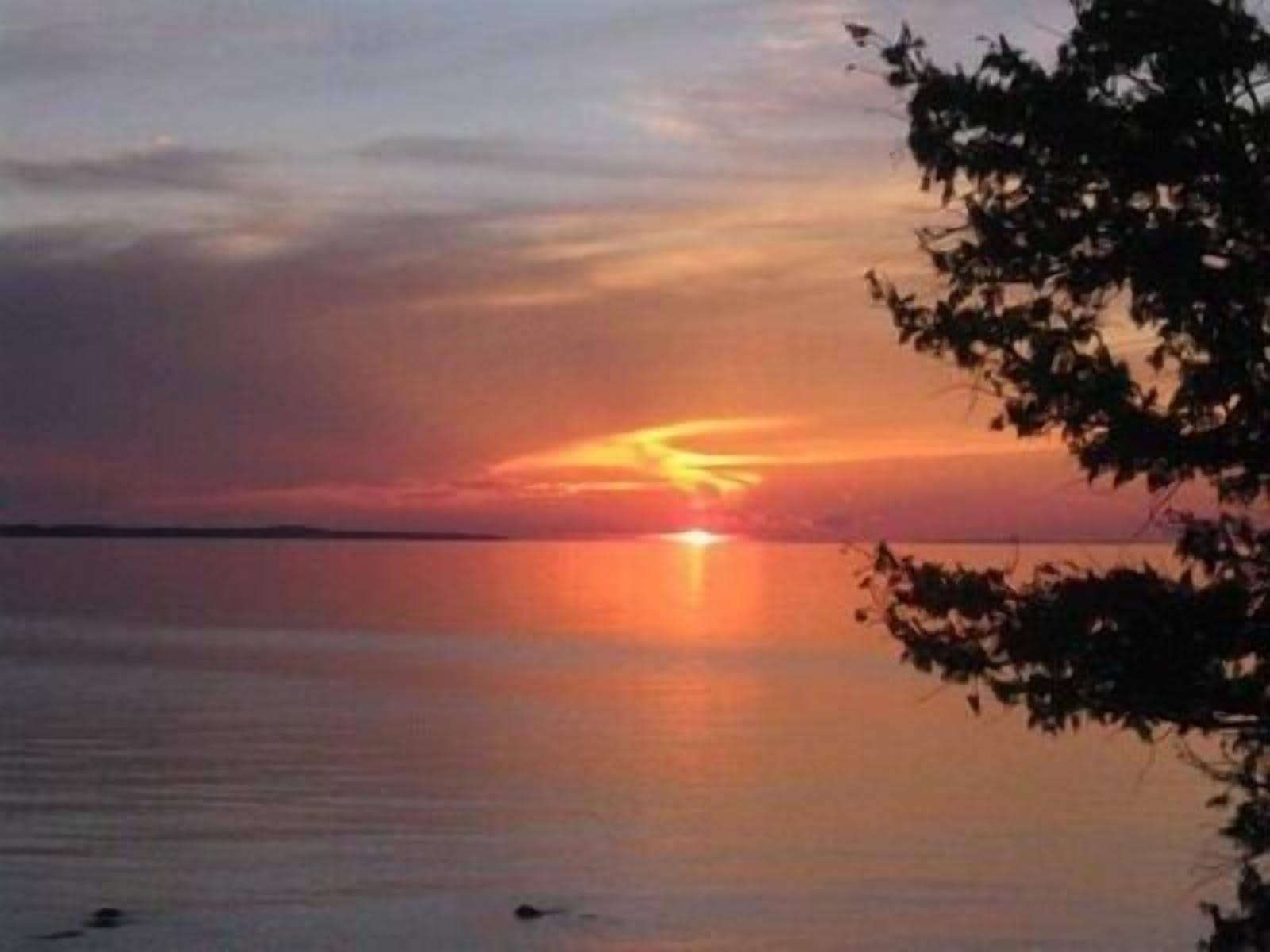 Family Friendly Custom Log Lake home, Kayaks, Paddle Boards, Booking Fall 2023