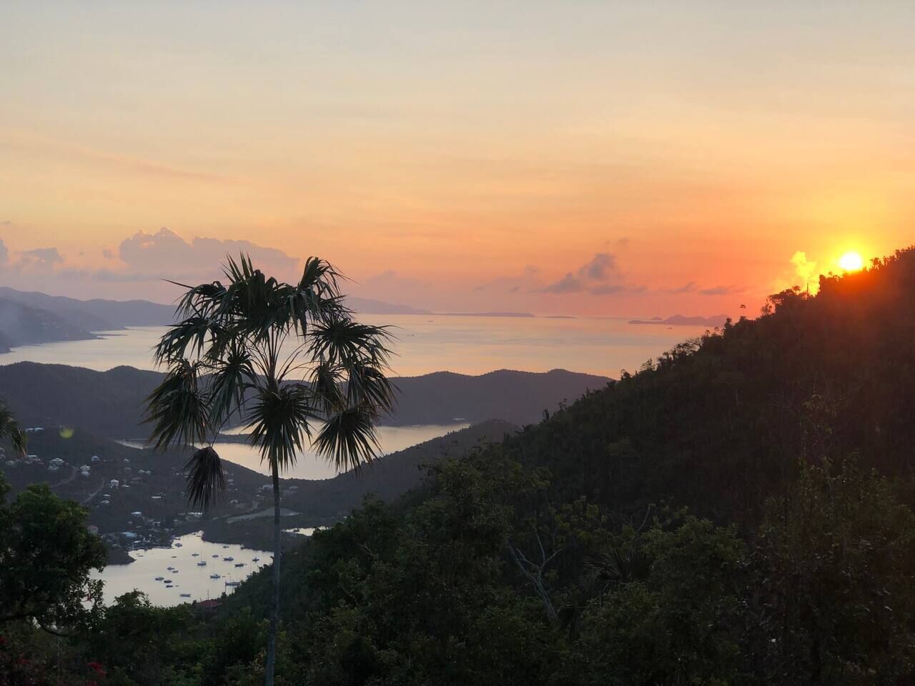 A sunset view over a coastal landscape with a palm tree in the foreground and a body of water with boats in the distance.