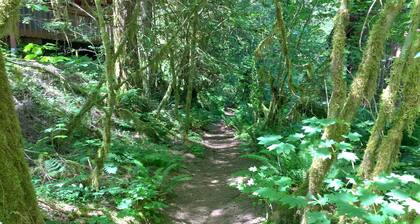 Lumilinjan mökki # 29 - Kylpytynnyri - Sauna - BBQ - Shuffle Board - vuodepaikkoja 11