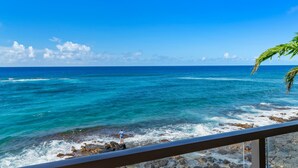 A coastal view with a person standing on rocks by the sea, a clear sky, and a palm tree in the foreground. - Spectacular Oceanfront Corner Unit Condo at Kuhio Shores (Koloa)