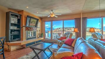 TV, fireplace, DVD player, books